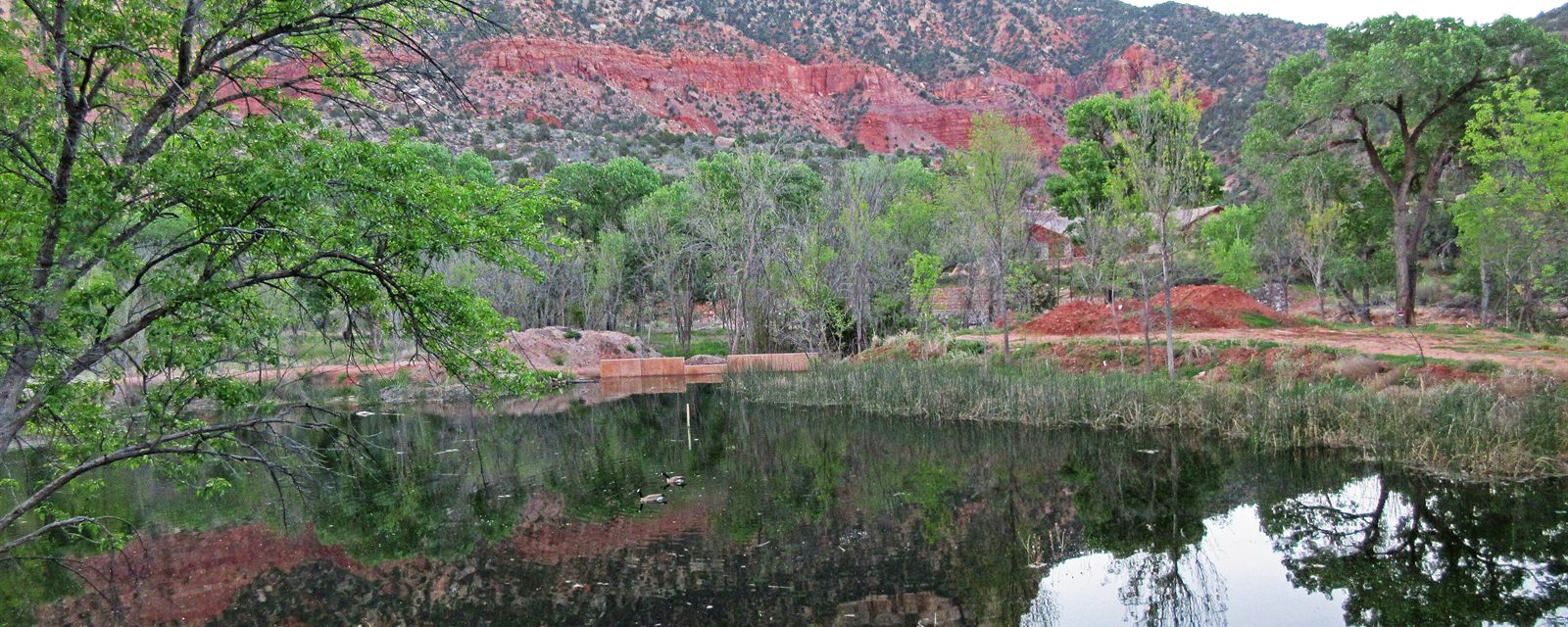 The Virgin River corridor near Springdale